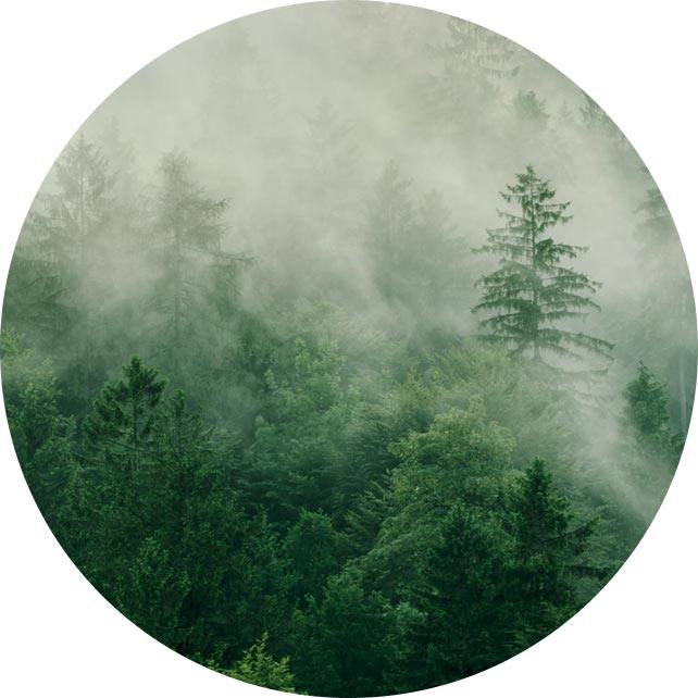 شركة Yangzhou Suxiang Medical Instrument ، Ltd.